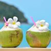 fresh green coconut – pack of 2