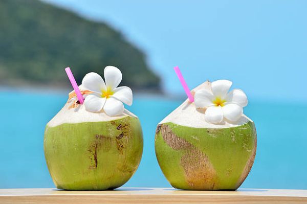 fresh green coconut – pack of 2