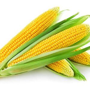 fresh & sweet corn – naturally delicious 1kg