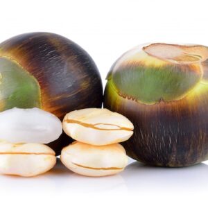 🌴 pana nungu – fresh palmyra palm fruit 10 pcs