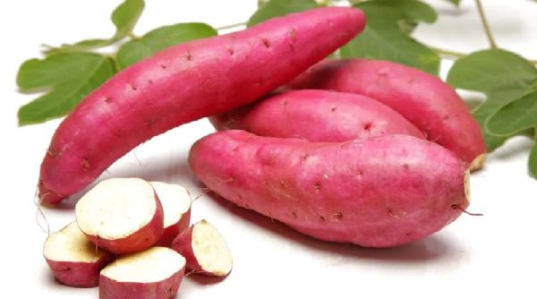 fresh sweet potato – naturally healthy & delicious 1kg