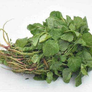 ara keerai – fresh & nutritious amaranthus greens 1 kattu