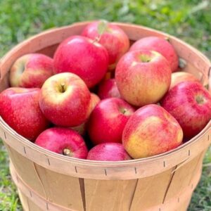 apple – fresh, crisp & nutritious fruit 1kg