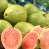 fresh guava – nature’s sweet & nutritious delight 1kg