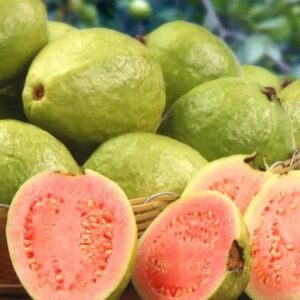 fresh guava – nature’s sweet & nutritious delight 1kg
