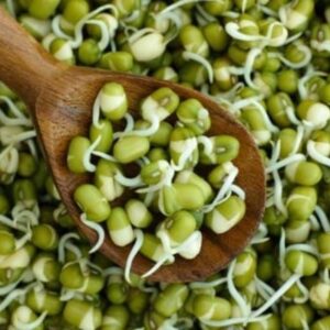 ✨ product description: molaika vaitha pacchai pairu (sprouted green gram) 100g