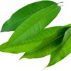 🌿 mango leaves – fresh natural maavilai 25 leaves