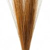 🧹 natural handmade coconut broom stick – traditional household broom