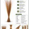 🧹 natural handmade coconut broom stick – traditional household broom