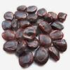 🌿 puliangkottai – natural tamarind seeds