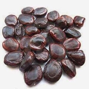HOME 🌿 puliangkottai – natural tamarind seeds
