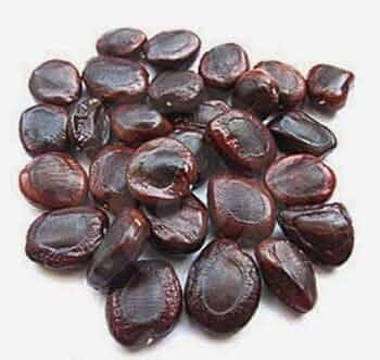 🌿 puliangkottai – natural tamarind seeds